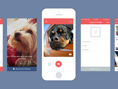 Capture [Dog App] app camera dog flat ios7 iphone photo signup ui ux