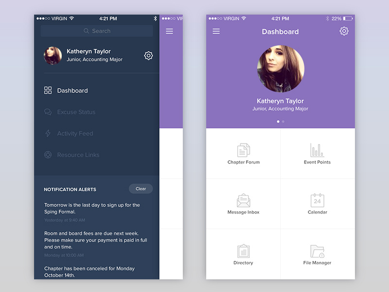 Dashboard and Menu sidebar navigation notch slide menu profile mobile flat application app iphone ios