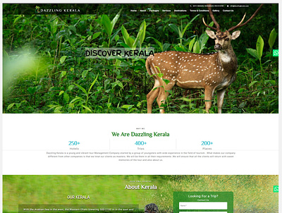 Dazzling kerala design web design