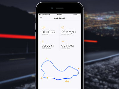 Bike Tracker clean data fitness graphs ios minimal speed statistics tracker ui ux