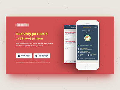 Landing Page - Website