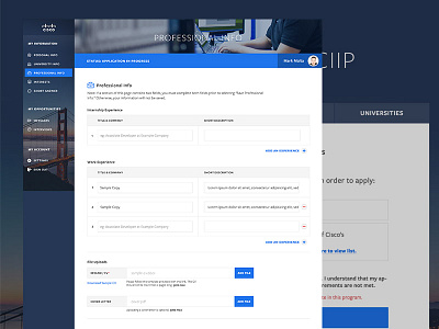 Cisco International Internship Program application blue fields forms interface