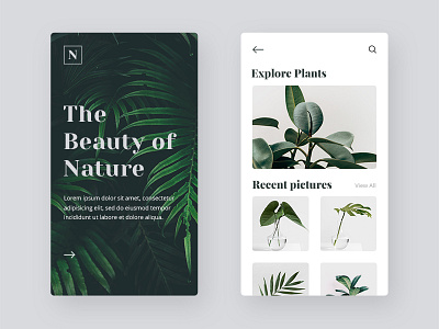 The Beauty of Nature App Design app graphic design ui ux website design