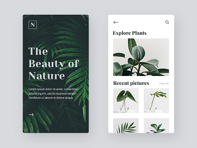 The Beauty of Nature App Design