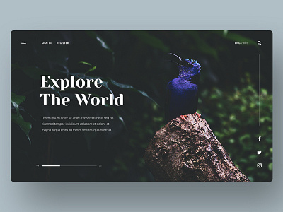 Explore The World Website Design design graphic design nature ui ux web website website design