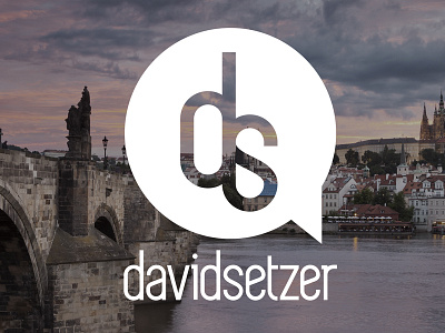 Davidsetzerbrand brand design icon logo type