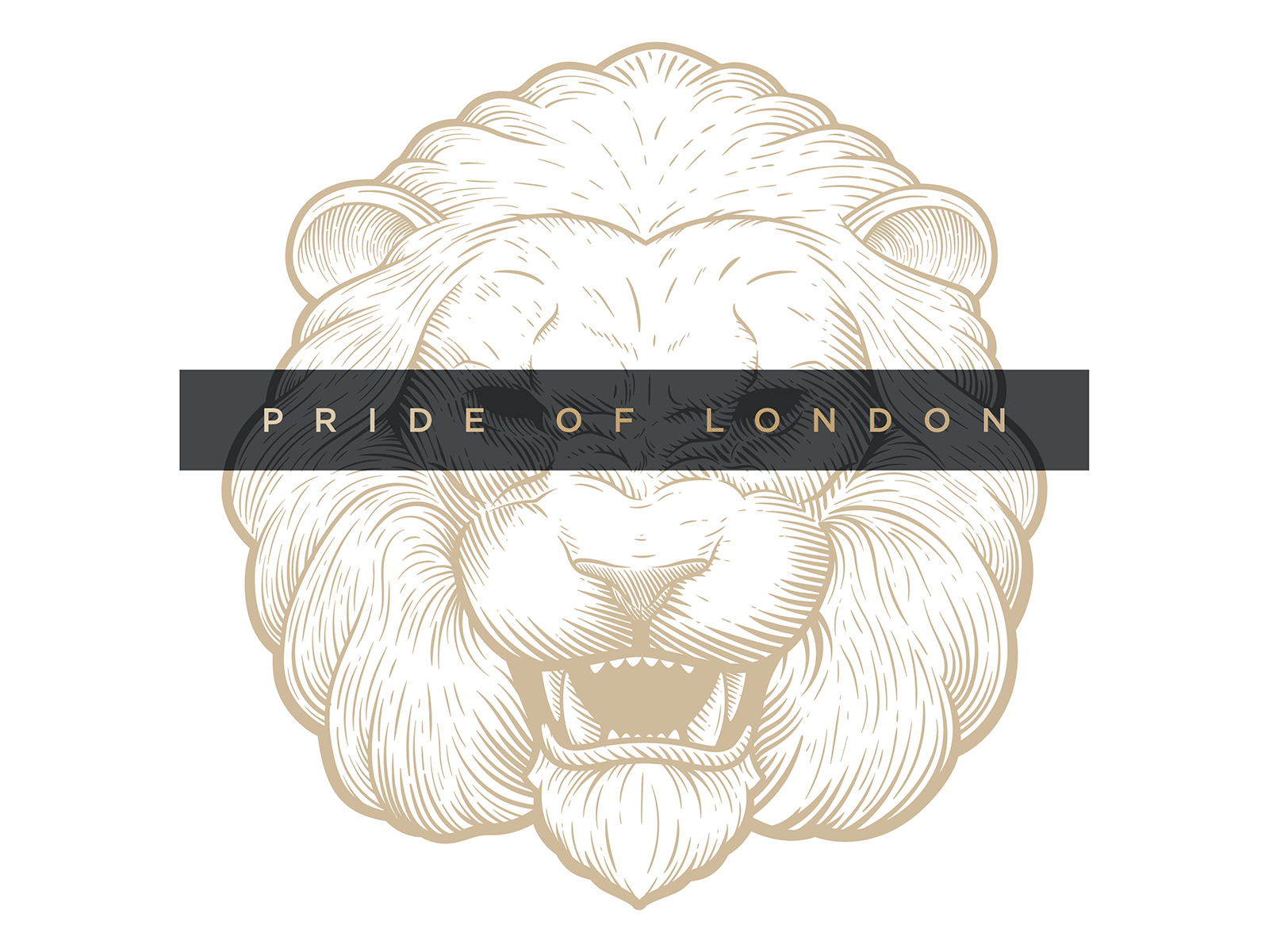 The Pride of London animal anthony joshua boxing etching lion london
