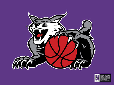 NorthWestern Wildcat 90s basketball bobcat college illustration mascot northwestern wildcat