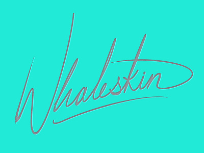 Whaleskin brand design illustrator logo typography vector whale