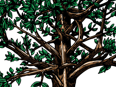 Tree Illustration