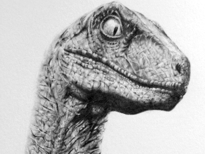 Clever Girl - Pencil dinosaur drawing hand drawn pencil raptor