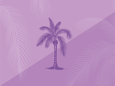 purple palm