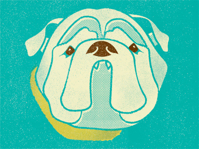 Bulldog dog halftone illustration