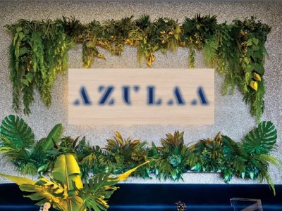 AZULAA- Logo Branding