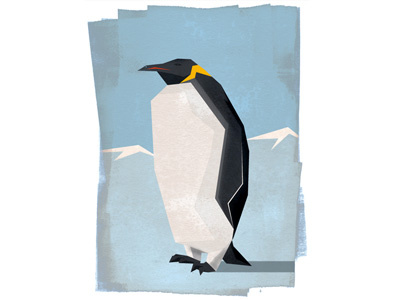 Pengunie animal bird design ice illustrator photoshop snow tibbo