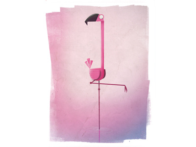 Flamingo adobe bird flamingo.bright illustration illustrator photoshop