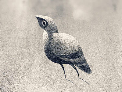 Birdie bird illustration
