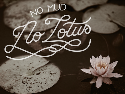 No Mud No Lotus design illustration illustrator lettering monoline photoshop quote