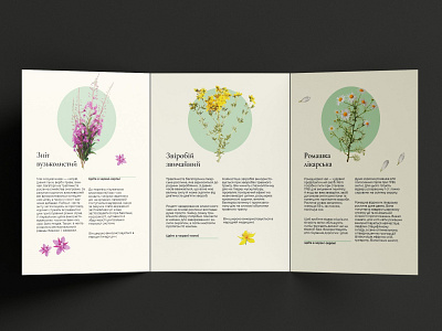 Trifold brochure about medicinal plants