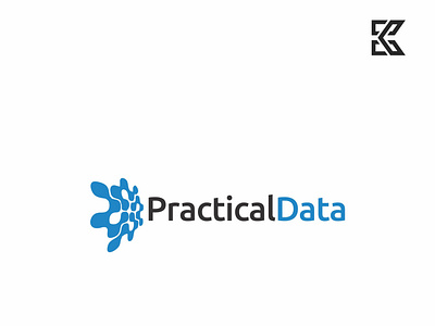 Practical Data Logo