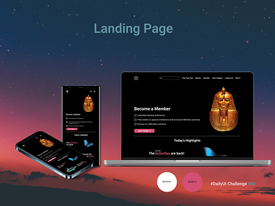 Landing Page appdesign branding dailyui dailyuichallenge landingpage museum ui webdesign