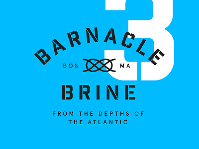 Barnacle Brine Update atlantic branding label marine ocean packaging pickles typography