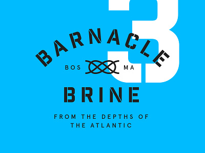 Barnacle Brine Update