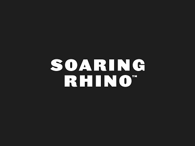 Soaring Rhino Typography board games brand development branding games mobile rhino soaring typography
