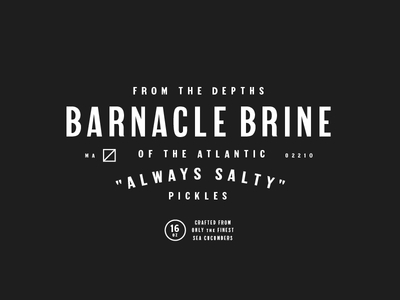 Salty Tests barnacle brine ocean pg gothic pickles typography