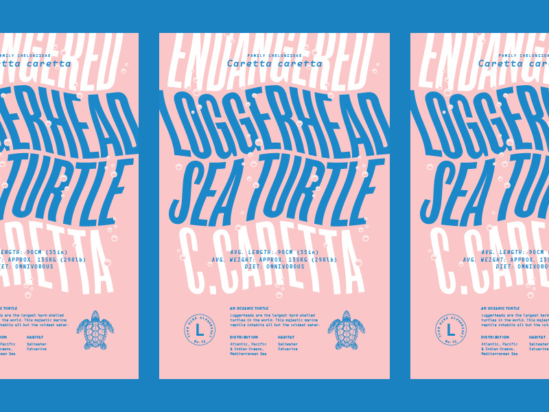 Alphabeast: Loggerhead Sea Turtle ocean turtle endangered animals poster typography typehike