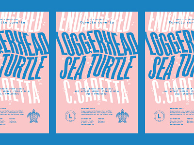 Alphabeast: Loggerhead Sea Turtle endangered animals ocean poster turtle typehike typography
