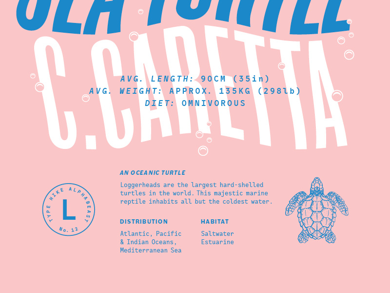 Loggerhead ocean turtle endangered animals poster typography typehike
