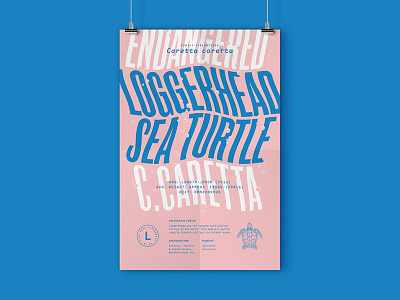 Posters!! endangered animals ocean poster turtle typehike typography