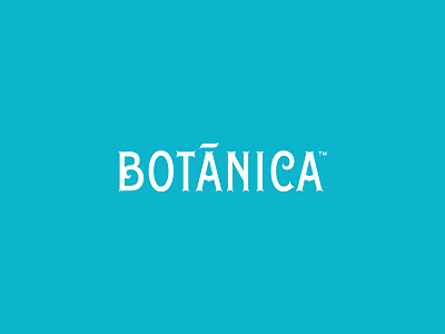 Unused Botanica Wordmark botanica branding illustration music music festival san antonio texas typography