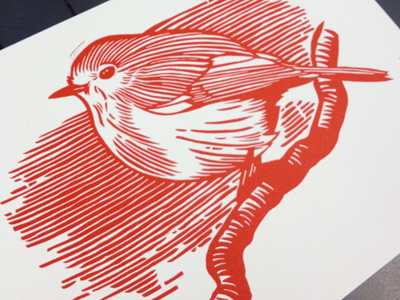 Robin2 bird black and white christmas detail drawing illustration ink lino linocut robin sketch tool