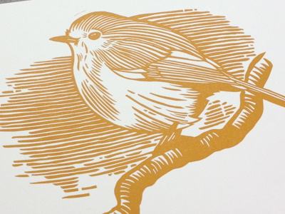 Robin3 bird black and white christmas detail drawing illustration ink lino linocut robin sketch tool