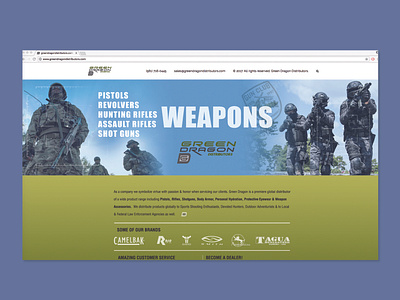 Green Dragon Tactical Banners, Branding, Identity by Geoffrey Maynard