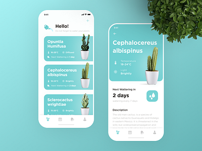 Watering Tracker Application app cactus data design grow lviv plant tracker app ui ukraine ux watering
