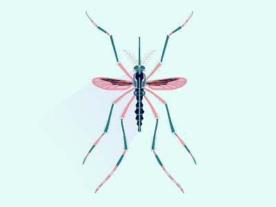 Mosquito decorative illustration insect mosquito stylight