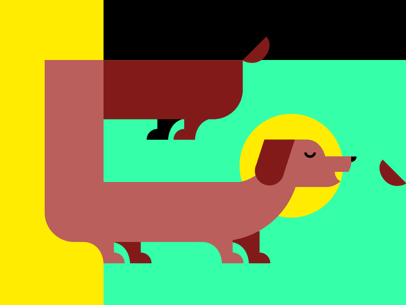 Holy Doggo ๐ถ๐ creativemorningswithchinguz waterloo illustration vector illustration dog weiner dog