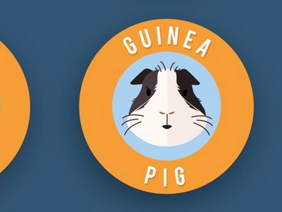 Guinea Pig