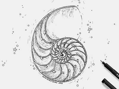 Sea shell for Submerge Music illustration line art music pen work sea shell shells underwater