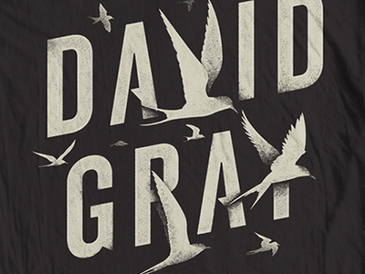David Gray Type birds david gray illustration t shirt terns typography