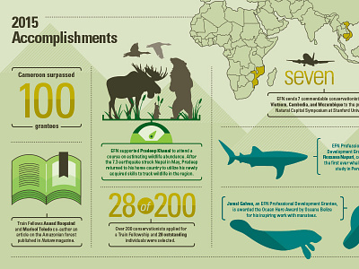 World Wildlife Foundation Annual Report animals annual report illustration infographic manatee map shark vector