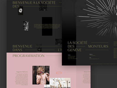 La Société des Monteurs art art direction artwork landing page landing page design ui webdesign