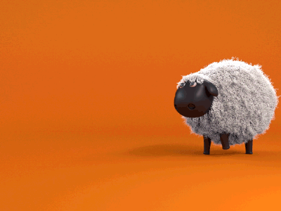 Sheep walking 3d animation c4d c4dtoa cinema4d fur hair rendering rigging sheep