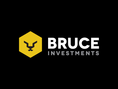 Bruce Investments bruce identity lion logo yellow