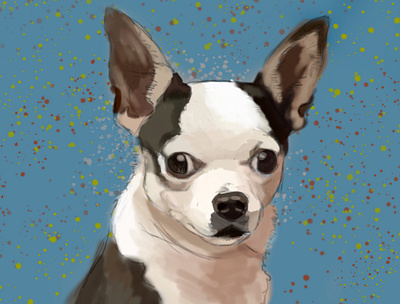 Chihuahua animals art character design chichuahua dog illustration pet portrait puppy small dog
