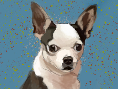 Chihuahua