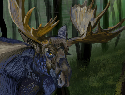 Moose animal animals antlers art background character design forest illustration moose